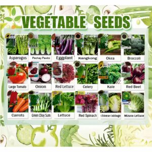 High Germination Vegetables Seeds Pack