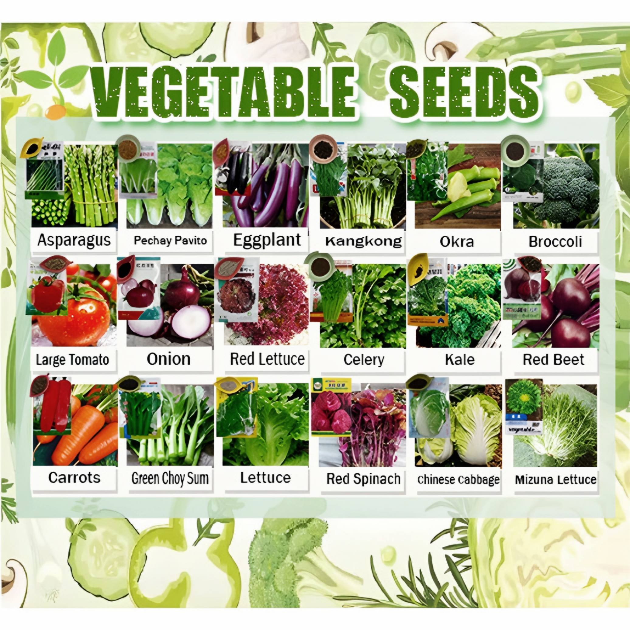 High Germination Vegetables Seeds Pack
