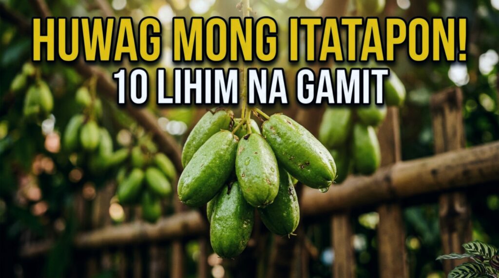 gamit ng kamias