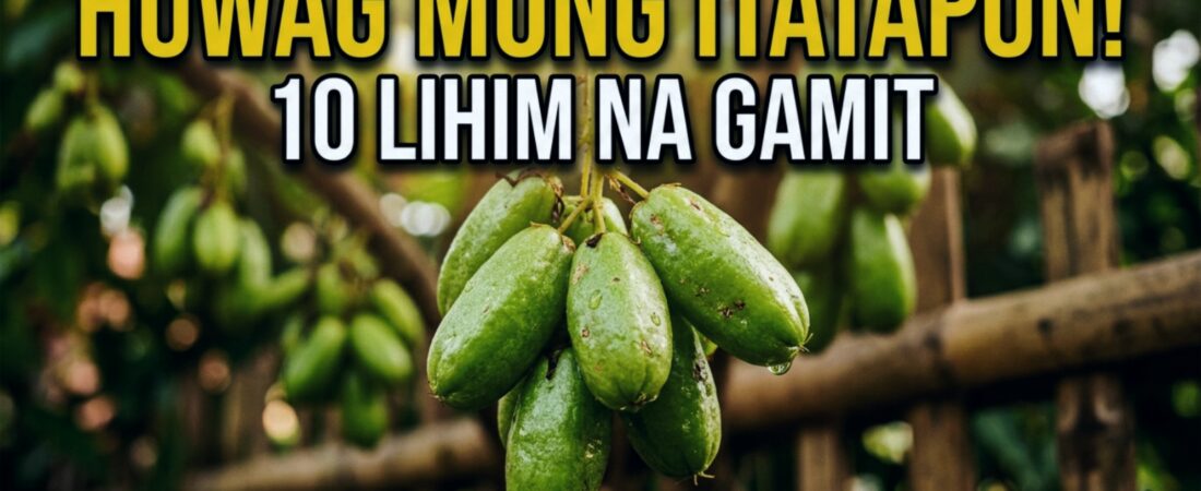 10 Pambihirang Gamit ng Kamias sa Bahay at Kalusugan